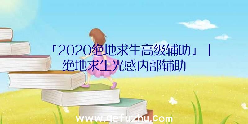 「2020绝地求生高级辅助」|绝地求生光感内部辅助